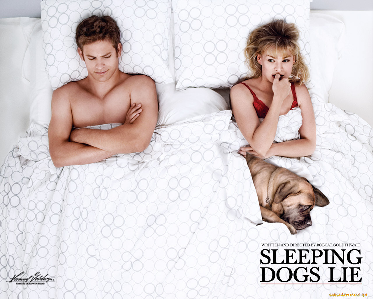 sleeping, dogs, lie, , 